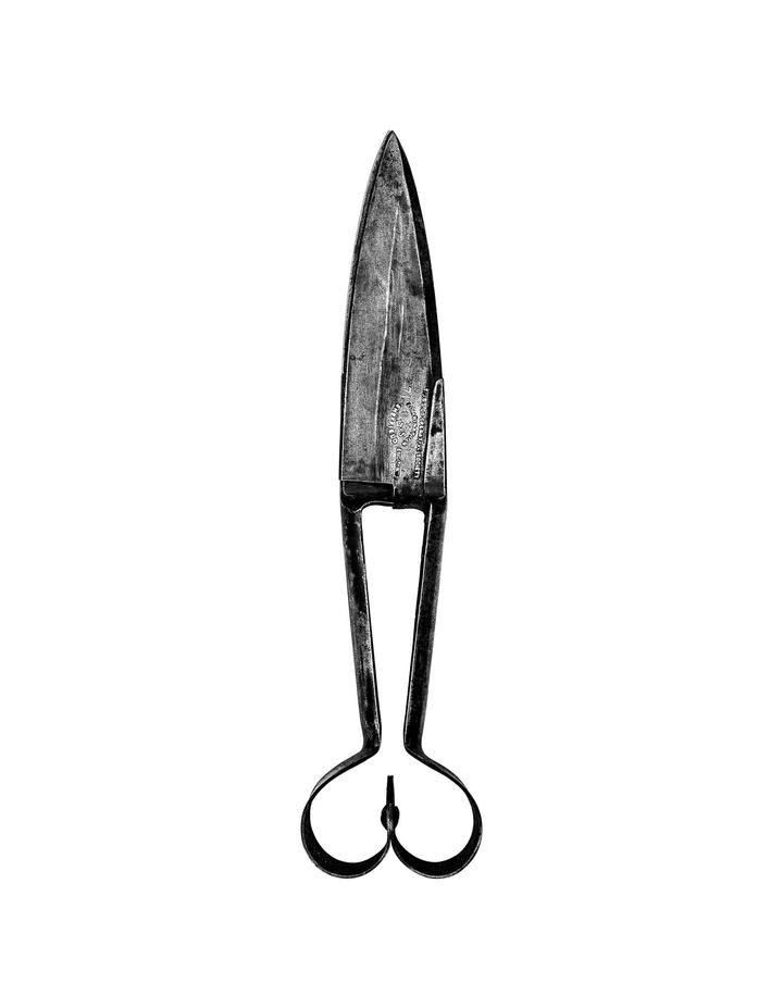 images/150516-056_shears1-small_mikeprevette.jpg