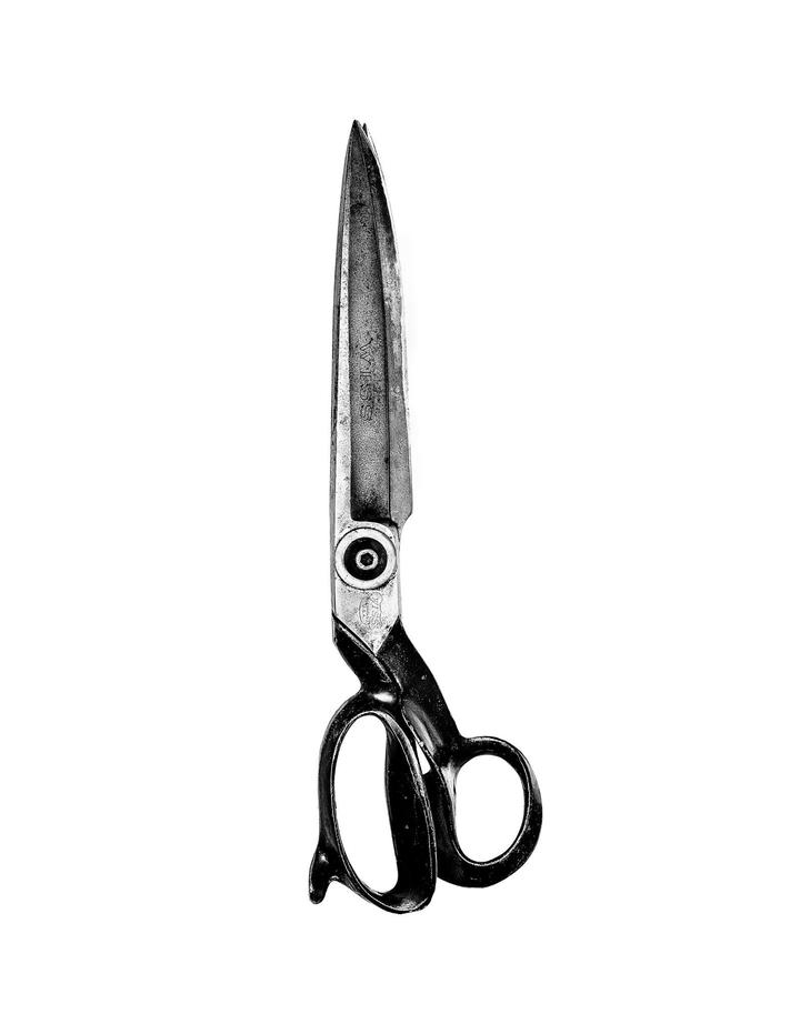 images/150516-058_scissors1-small_mikeprevette.jpg