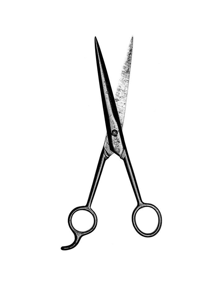 images/150516-060_scissors2-small_mikeprevette.jpg