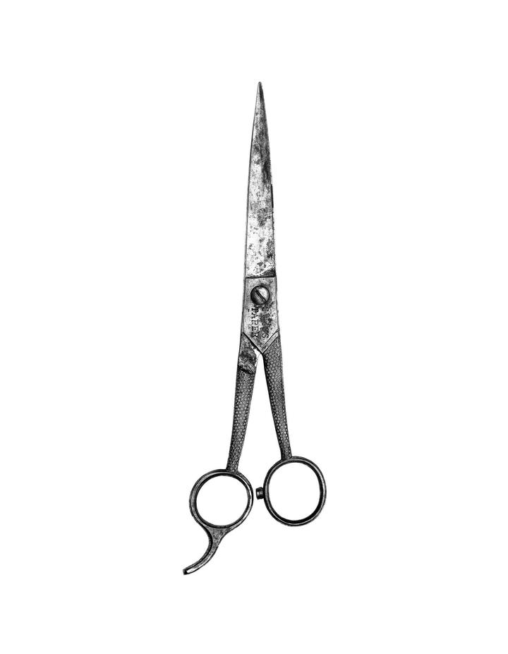 images/150516-scissors3-small_mikeprevette.jpg