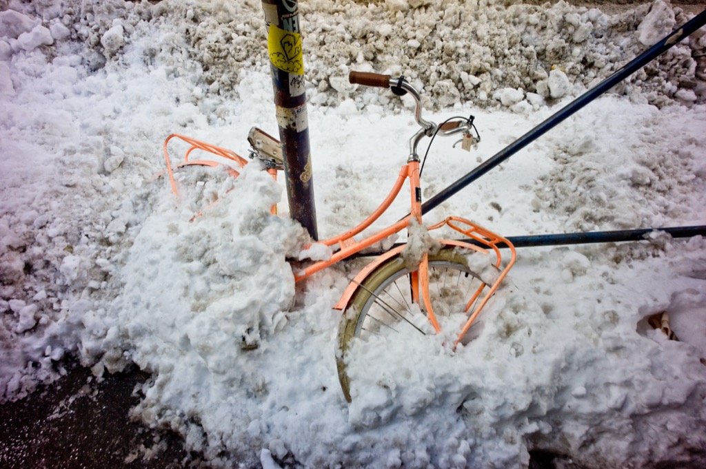 043_20110127-DSC01804.jpg
