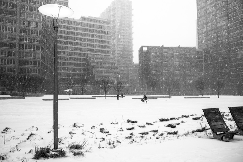 20150126-DSC03772.jpg